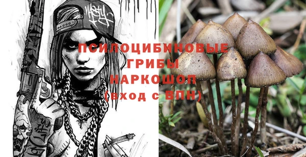 твердый Алексеевка