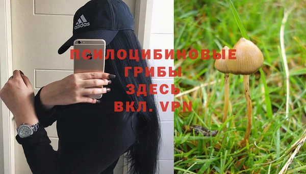 СК Алзамай